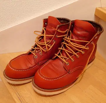 [새상품급] 레드윙 8875 아이리쉬 세터