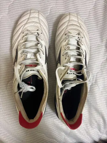 모렐리아 네오 3