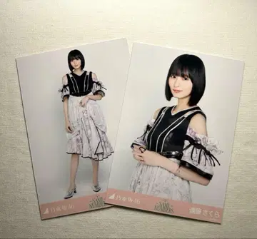 [세미컴프] 엔도 사쿠라 브로마이드 Same numbers