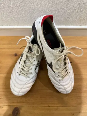 모렐리아 네오 4