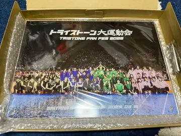 트라이스톤 대운동회 팀 시트 특전 팀 핑크 아크릴 사진 스탠드