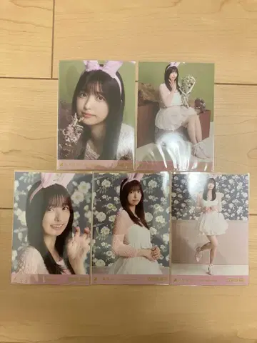 노기자카46 브로마이드 이오키 마오 2025 Halloween