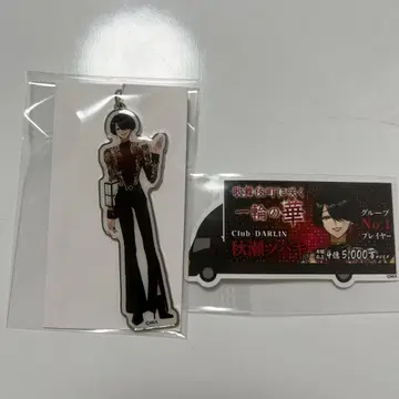 별똥별의 왕자님 돈키 아키세 츠바키