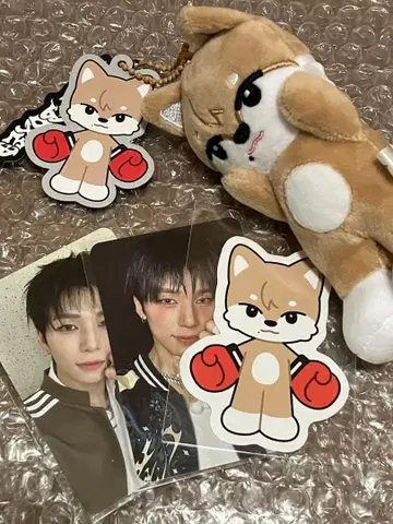 NEXZ BEAT BOXER 소곤 GEONSKY 봉제 인형 트레이딩 카드