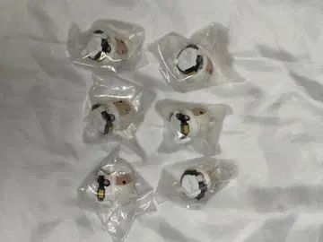 히로아카 미르코 냥코 6점 세트