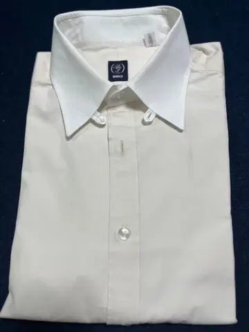 beamsF 클레릭 탭 컬러 드레스 셔츠 컨디션 최상