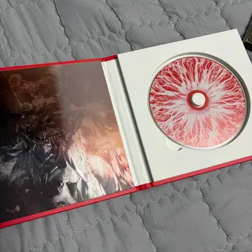 dpr ian mito 2 miito dear insanity 팝니다 | 브랜드 중고거래 플랫폼