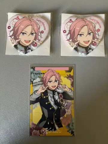 앙스타 스타포니 호박 캔뱃지 카드