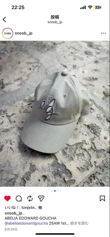 AEG CAP IRREVERSIBLE GRAY