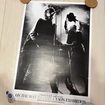 a flood of circle 포스터