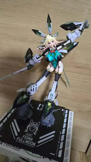 볼텍스 FIONA FULLMOON 안테나샵 한정판