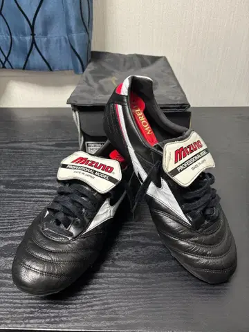 모렐리아 2 재팬