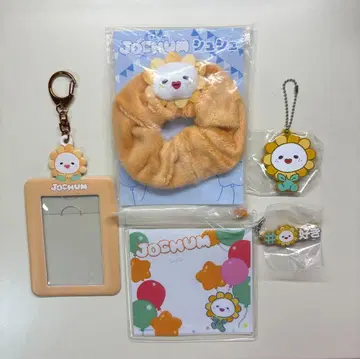 JOCHUM Bira 제오참 비라 세트