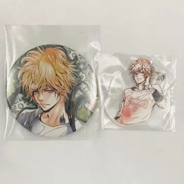 가정교사 히트맨 REBORN 원작 캔뱃지 아크릴 배지 디노