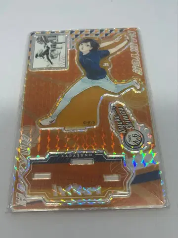 하이큐 벌스데이 아크릴 스탠드 시미즈 키요코 아크스타 2024