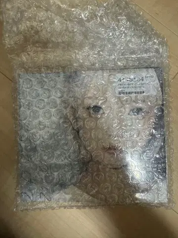 미개봉 J-POP 레코드