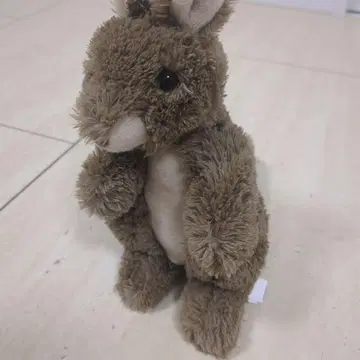 호주 기념품 캥거루