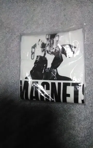 펑크 THE MAGNETS 티셔츠 sizeXL