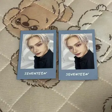 seventeen NEW 인스턴트 사진 준