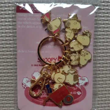 주말 한정 가격 스누피 참 포함 키링 레어