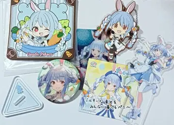 우사다 페코라 묶음 판매