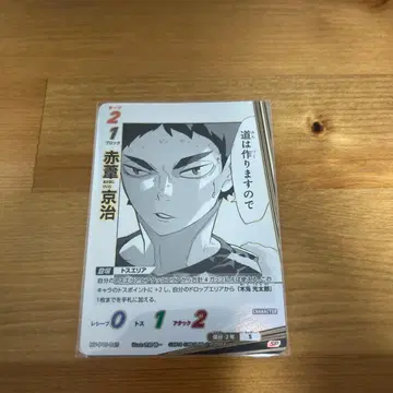 바보카 아카아시