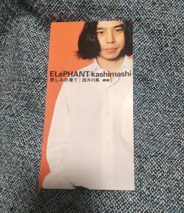 엘리펀트 카시마시 슬픔의 끝