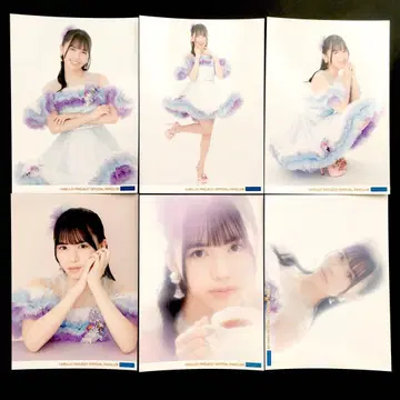 2234 안쥬르므 타메나가 시온 브로마이드 6장 세트