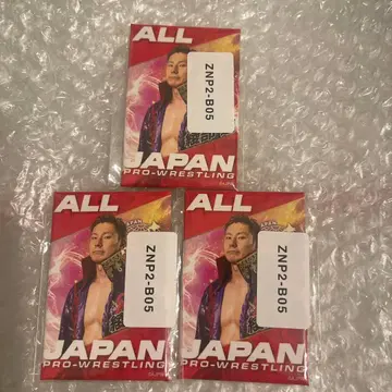 전일본 프로레슬링 아야베 렌 웹 캔뱃지 3개 세트