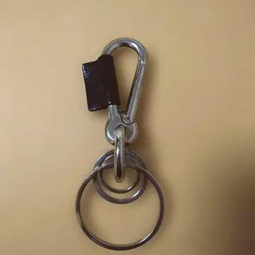 핸더 스킴 카라비너 키링