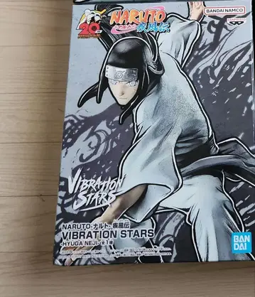 NARUTO 히나타 네지 VIBRATION STARS 피규어