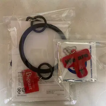 동방신기 bigeastrain