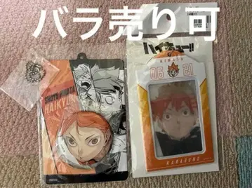 하이큐 히나타 쇼요 캔뱃지 & 특제 홀더 벌스데이 카드 홀더