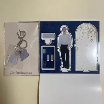 seventeen museum2024 디노