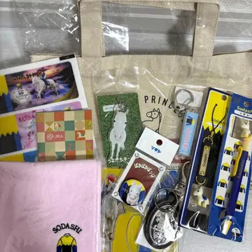 [ 새상품 ] SODASHI 소다시 11개 묶음 판매 아이돌 호스