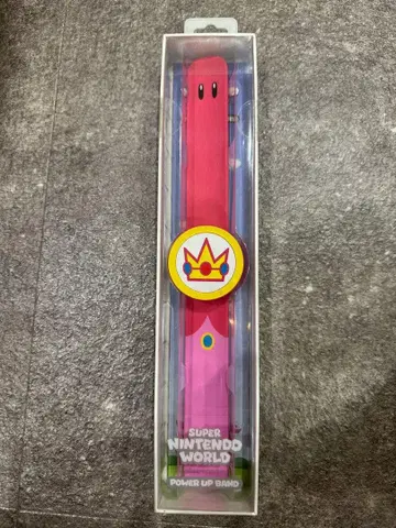 USJ 슈퍼 닌텐도 월드 파워업 밴드 피치 공주