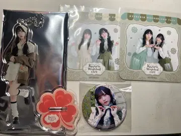 큐르시테 콜라보 카페 신기루아무 세트