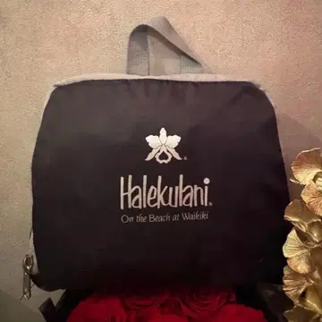 할레크라니 접이식 컴팩트 백팩 하와이