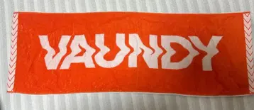 VAUNDY 로고 타월 오렌지