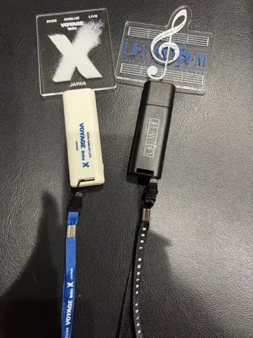 2025 VOYAGE into LIVE X JAPAN 응원봉