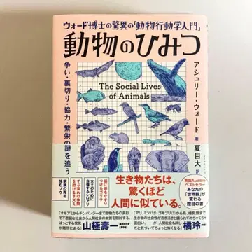 [ 새상품 ] 동물의 비밀 워드 박사의 경이로운 동물 행동학 입문