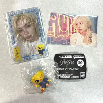 필릭스 스키즈 사우나 사진 카드 슬리브 사우나 피규어 포가리