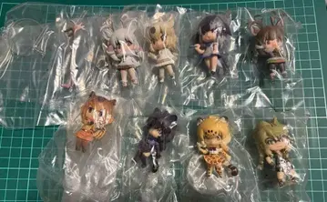 캡슐 프렌즈 아마존 편 북극 편 컴프 세트