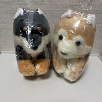 흐물흐물 시바견 봉제 인형 ST 사이즈