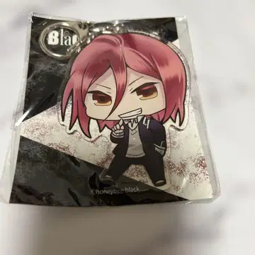 Blackish House 쿠제 엔 아크릴 키링