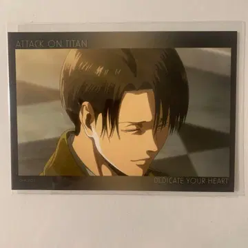 [ 초레어 ] 진격의 거인 리바이 브로마이드 미소