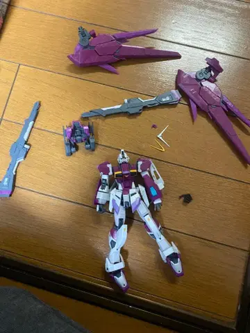 RG 1/144 데스티니 임펄스 건담 프라모델 정크