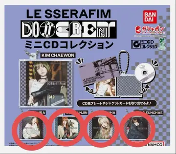 르세라핌 김채원 미니 CD 컬렉션