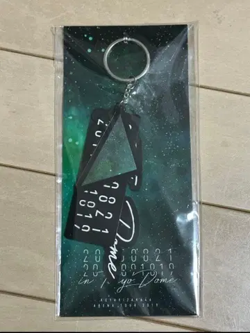 케야키자카46 아레나 투어 2019 도쿄돔 아크릴 키링