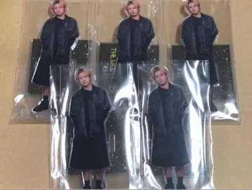 라스피 케이 아크릴 스탠드 5개